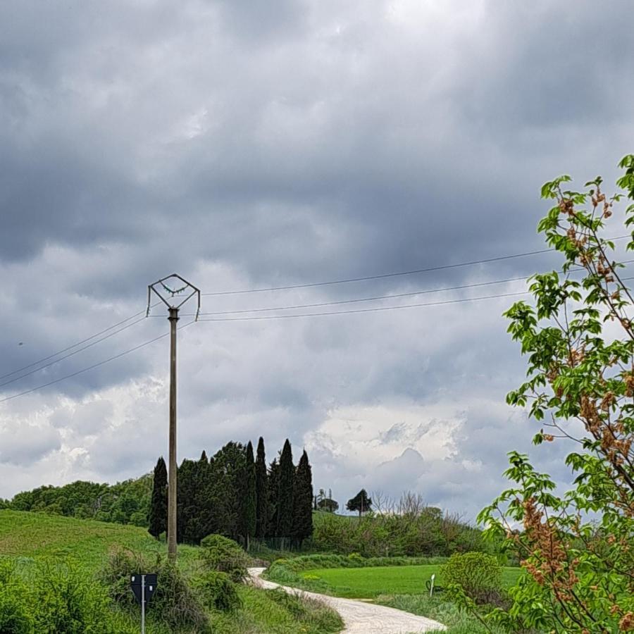 Affittacamere Alba Fiorita Castiglione dʼOrcia Dış mekan fotoğraf