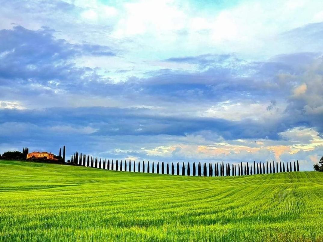 Affittacamere Alba Fiorita Castiglione dʼOrcia Dış mekan fotoğraf