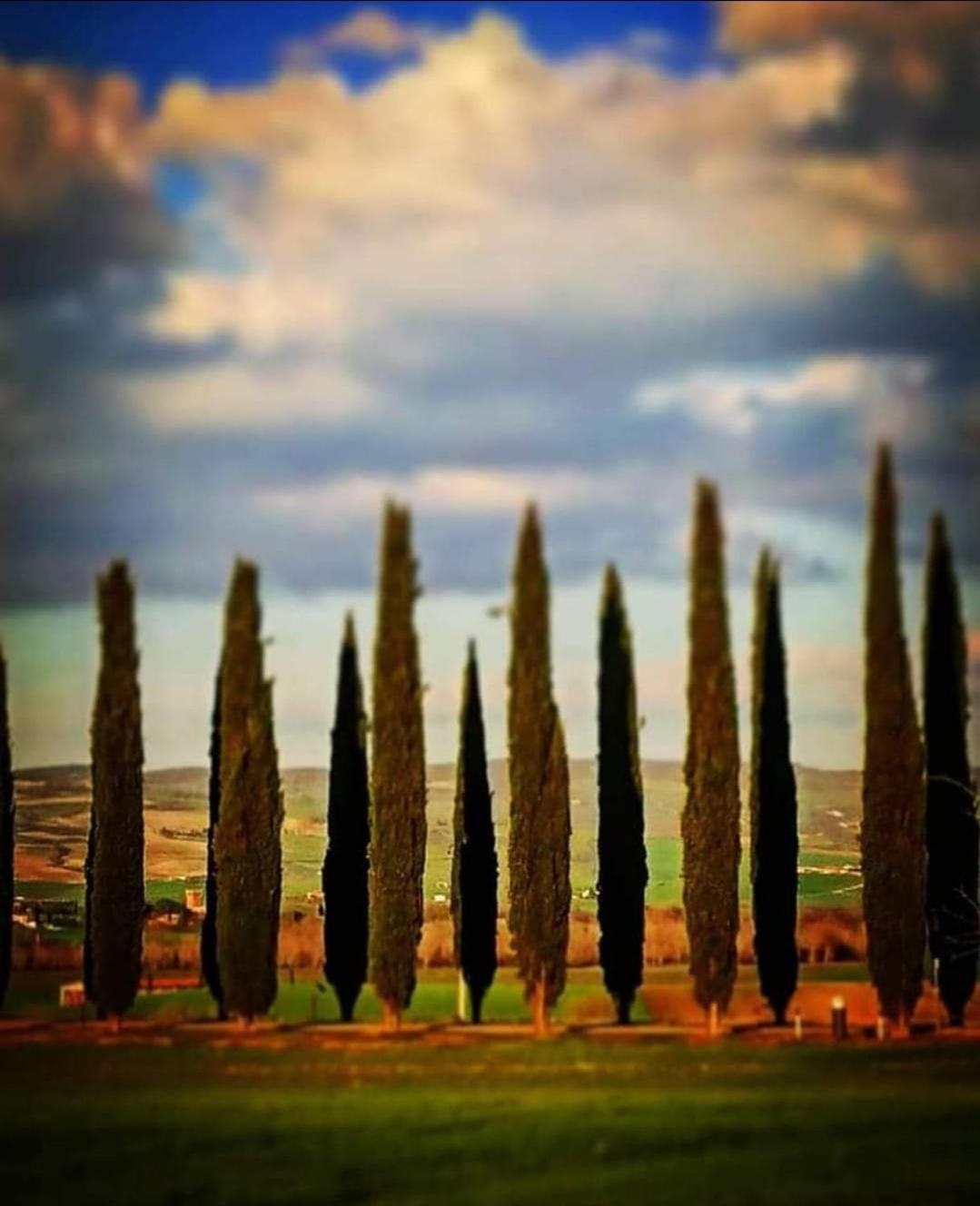 Affittacamere Alba Fiorita Castiglione dʼOrcia Dış mekan fotoğraf